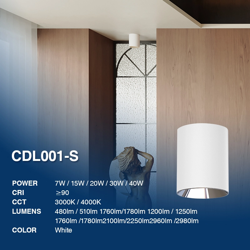 CDL001-S 30W 3000K 60° Bianco faretto led da soffitto-Faretti Soffitto Camera Da Letto--02