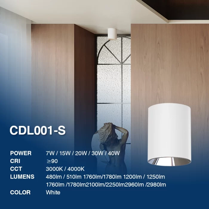 CDL001-S 20W 4000K 60° Bianco faretti da soffitto led-Illuminazione Showroom--02