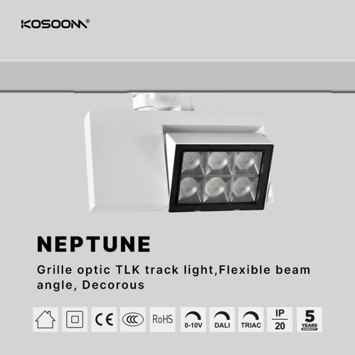 Lente Lampade a Binario 30W Bridgelux 5050 Lifud TLKB030 TLKB-Kosoom-Illuminazione Showroom--22080 1706352970