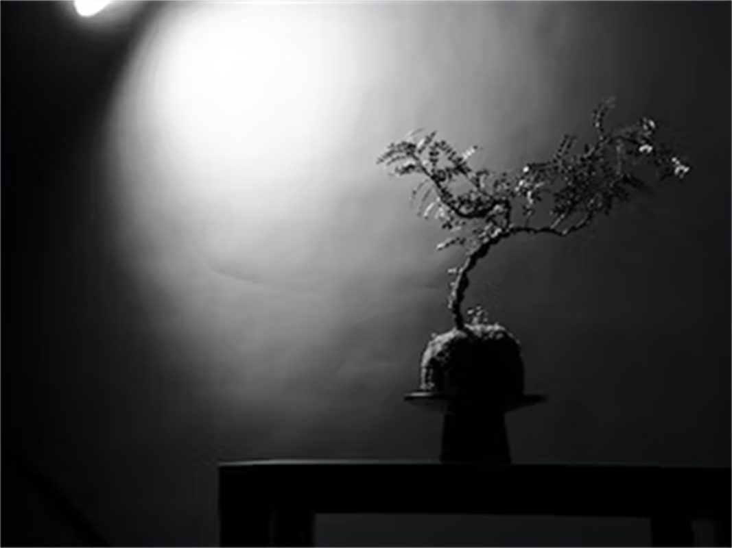 Quando vengono visualizzate le luci lineari?-Wiki Quando vengono visualizzate le luci lineari?-Articolo