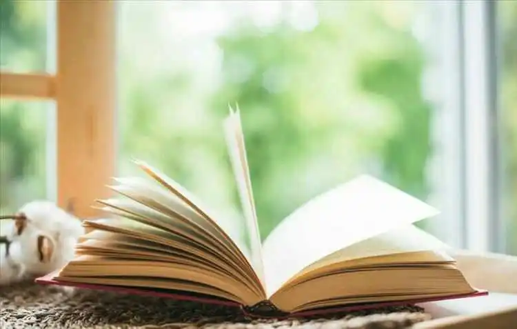 Lampada da lettura: un must have-Tendenze Lampada da lettura: un must have-Tendenze