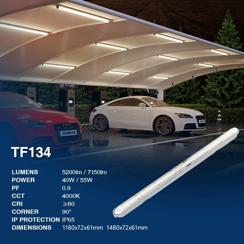 TF134 55W 4000K 120lm/w 7150lm Llum de sostre impermeable-Llum de sostre d'exterior--02