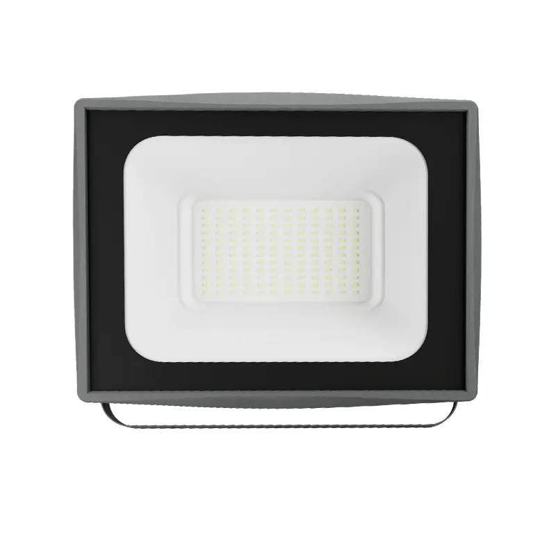 FL246 10000lm 100W 6500k LED Floodlight-Outdoor Countryside Home Lighting--FL246