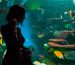 Qual è la migliore illuminazione per un acquario?-Blog